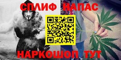 jwh Моздок