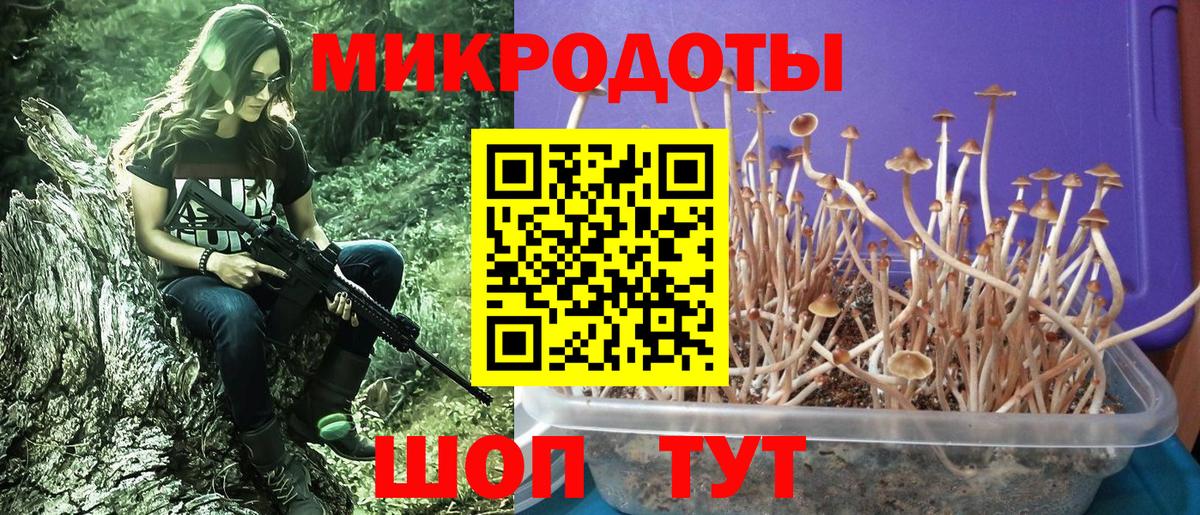Псилоцибиновые грибы Magic Shrooms Урус-Мартан