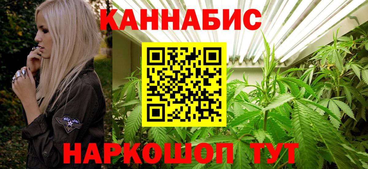 Канабис семена Урус-Мартан